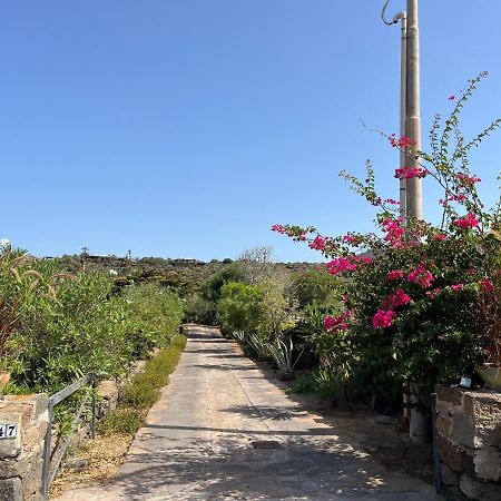 Dammuso Pensare Alla Luna Vila San Michele  Exterior foto